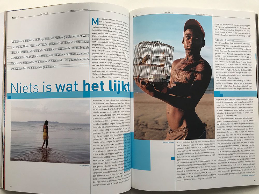 paradise in disguise_IMG_0327