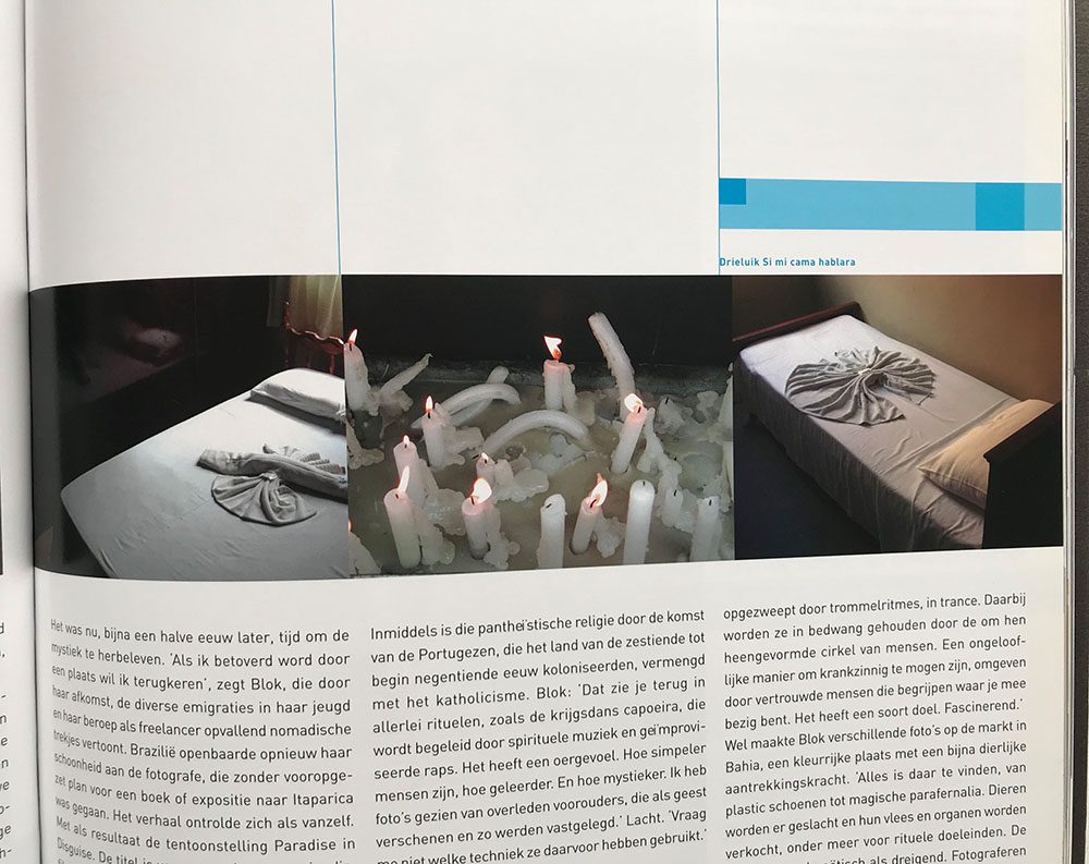 paradise in disguise_IMG_0329